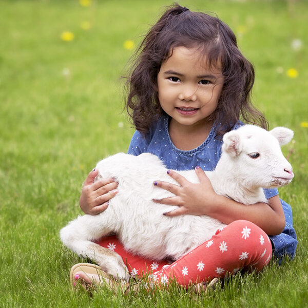 Little girl holding lamb