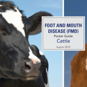 FMD Pocket Guide - Cattle