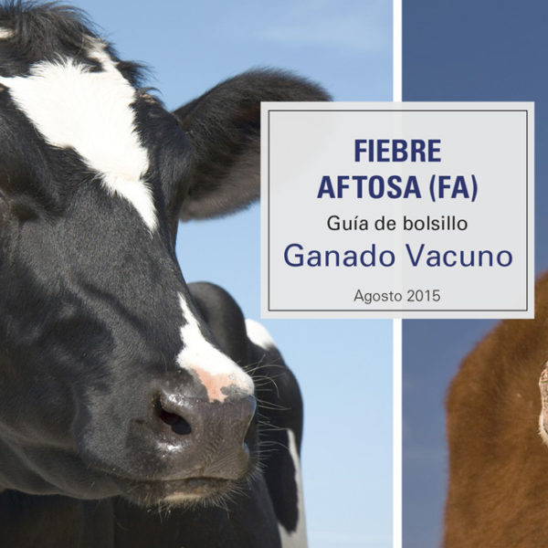 FMD Pocket Guide Cattle - Spanish