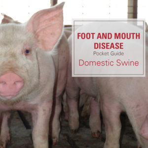 FMD Pocket Guide for Swine