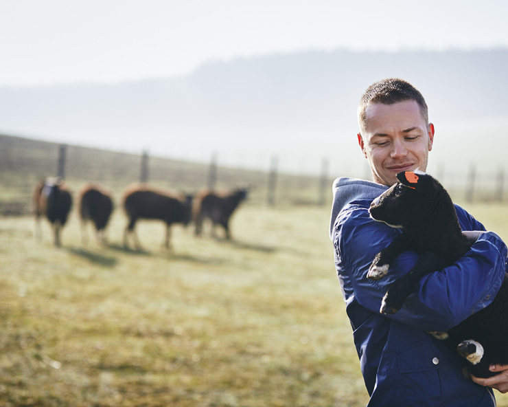 Man holds black lamb while sheep graze on pasture in the background.