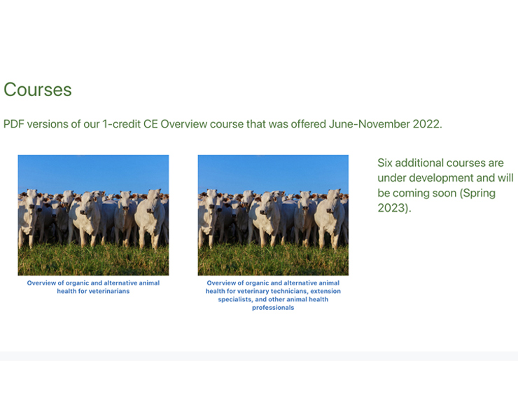 Photo of the course section of The Livestock Project website.