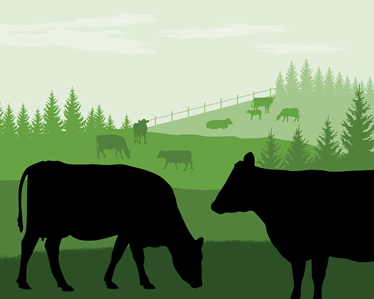 Animated silouhette of cows grazing with a green background.